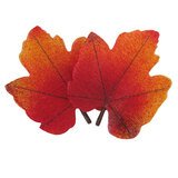 Déco feuilles d'automne - Décoration