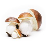 Champignons artificiels - Aliments factices