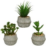 Succulente synthétique en pot - Plantes et fleurs artificielles