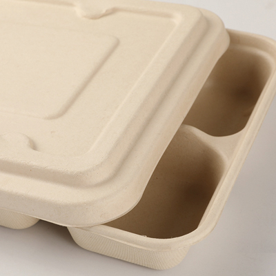 Couvercles pour plateaux repas en bagasse - Plateaux repas-1