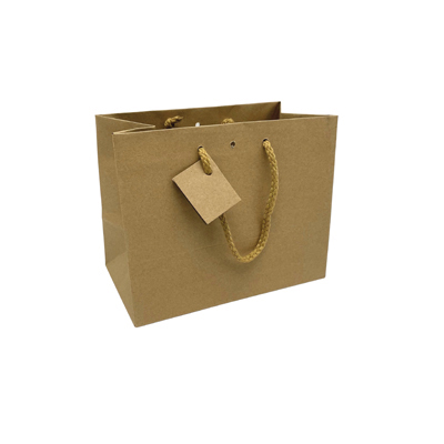 Sacs kraft Luxe - 24 + 14 x H 19,5 cm - par 10 - Sacs kraft Luxe